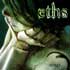 pochette de l’album Somà de ETHS – Somà album cover and artwork - cliquez pour lire la chronique
